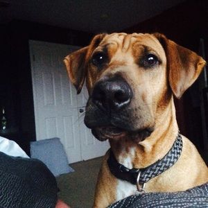 Meet your Posher, Kristina