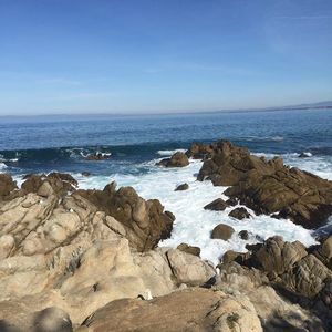 Meet your Posher, Martin