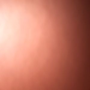 Meet your Posher, Giang