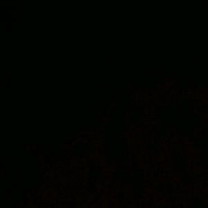 Meet your Posher, Carla