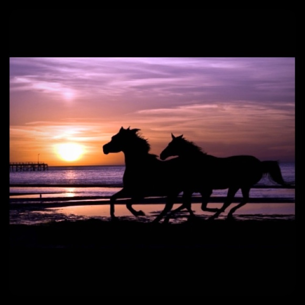I love sunsets and wild horses