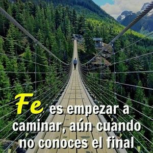 Meet your Posher, Maggie