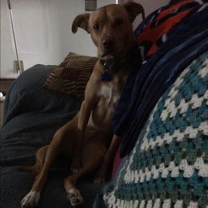 Meet your Posher, Kim