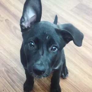 Meet your Posher, Joanna