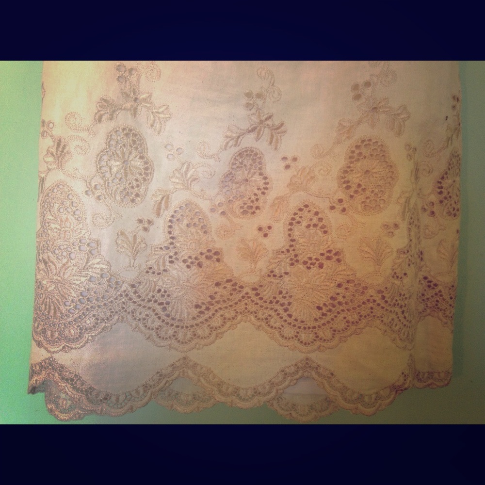 Silk and embroidered Ann Taylor skirt