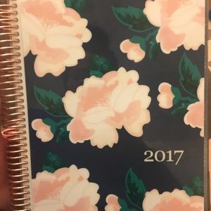 2017 Erin condren hourly planner