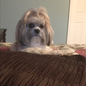 Meet your Posher, Sophia