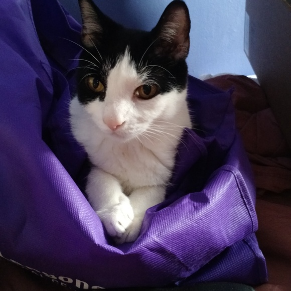 Meet your Posher, Rena - Picture 7 of 8