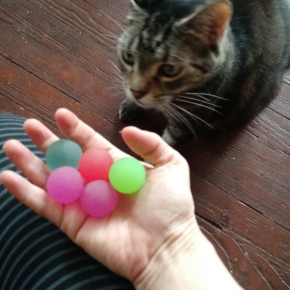 Meet your Posher, Rena - Picture 8 of 8