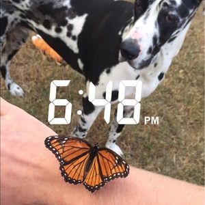 Meet your Posher, Justin