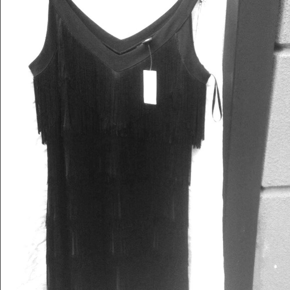 20s style fringe dress