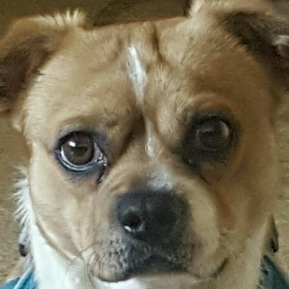 Meet your Posher, Net