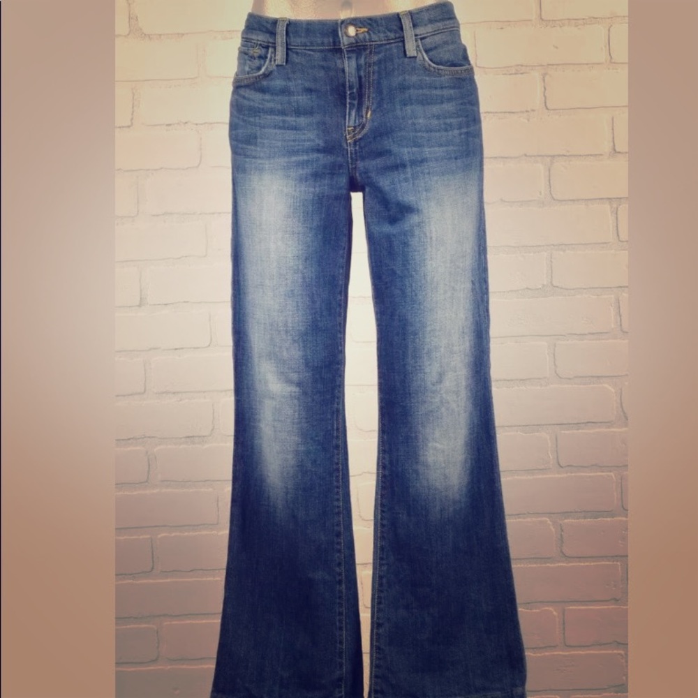 Joe's Jeans Provocateur Petite Size 31, Elsa Wash