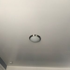 Meet your Posher, Bella