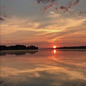 Meet your Posher, Ella