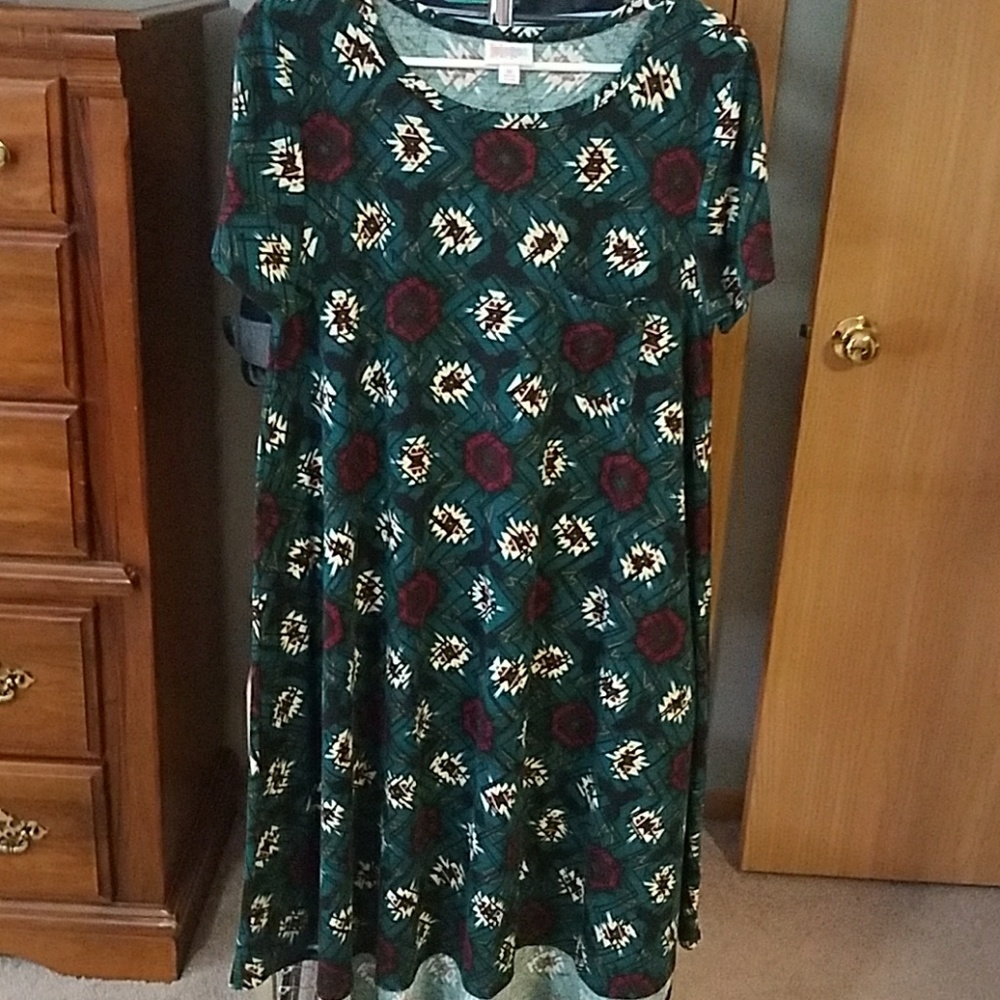 Beautiful Carly dress brand new with no tag.