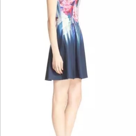 🌟SOLD🌟Ted Baker Haruku Hydrangea Dress Size 2 - Picture 3 of 5