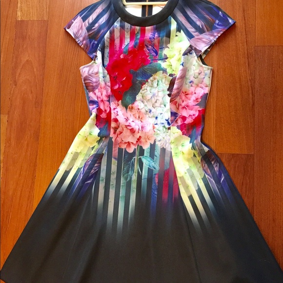 🌟SOLD🌟Ted Baker Haruku Hydrangea Dress Size 2 - Picture 4 of 5