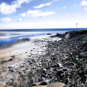 Meet your Posher, Leo