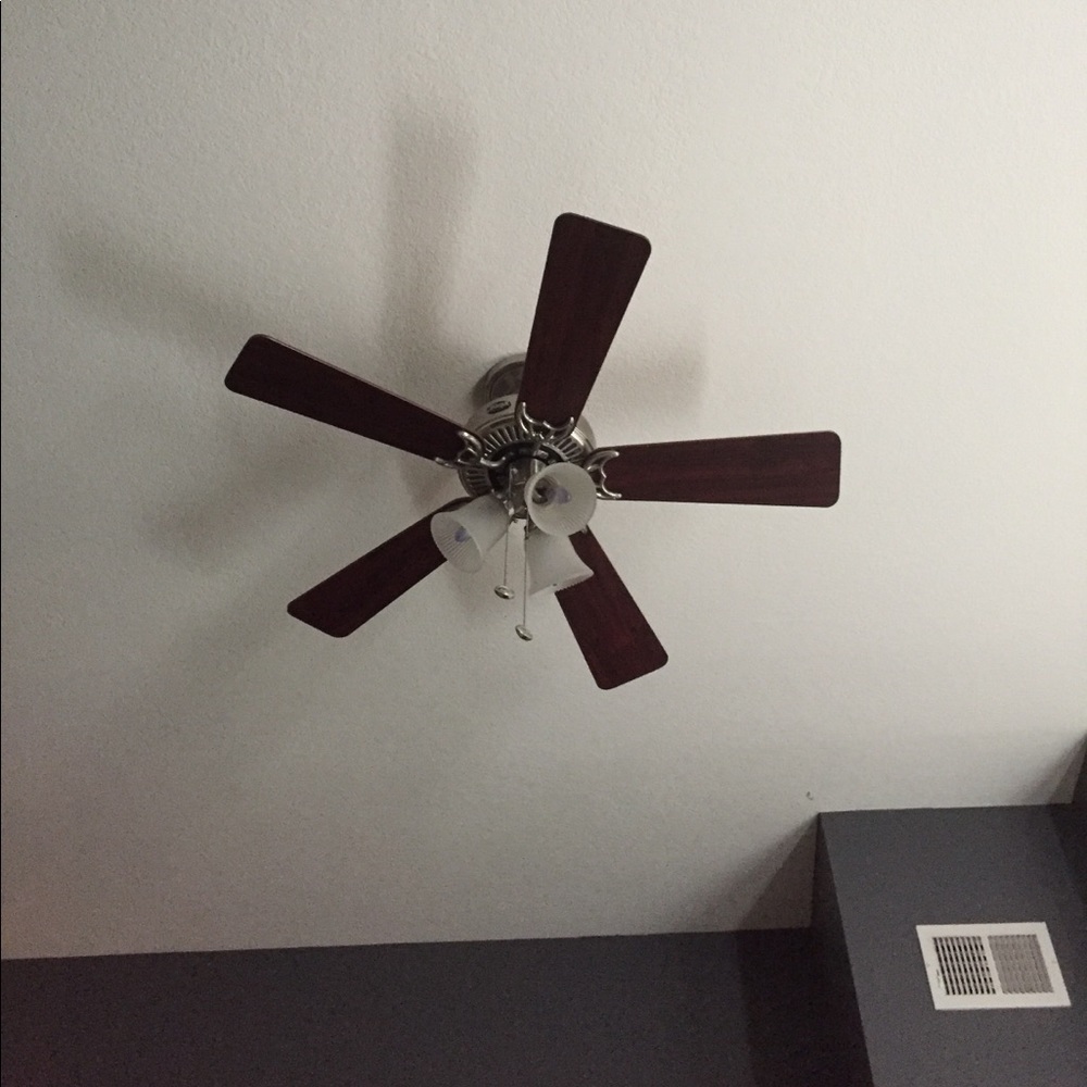 Meet your Posher, Ali