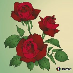 Meet your Posher, Maile