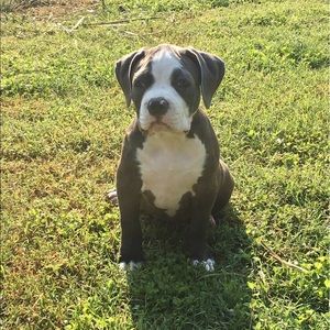 Meet your Posher, Marlayna