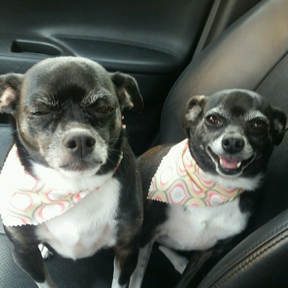 Meet your Posher, Erika