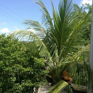 Meet your Posher, Federico