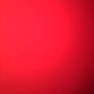 Meet your Posher, Lexi