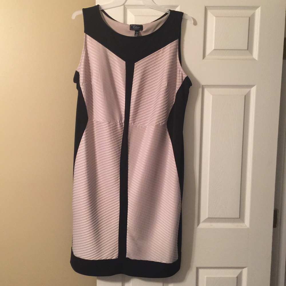 Beautiful black & tan dress