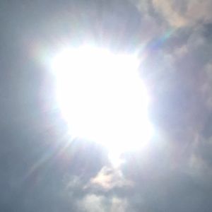 Meet your Posher, Alicia