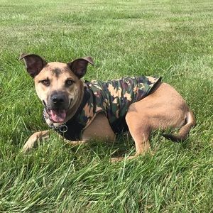 Meet your Posher, Allana