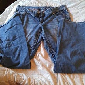 Maurices bootcut jeans