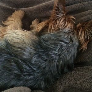 Meet your Posher, Kristy