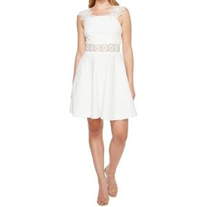 Ted Baker London Floral Lace A-Line  Dress