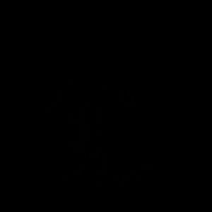 Meet your Posher, Dominique