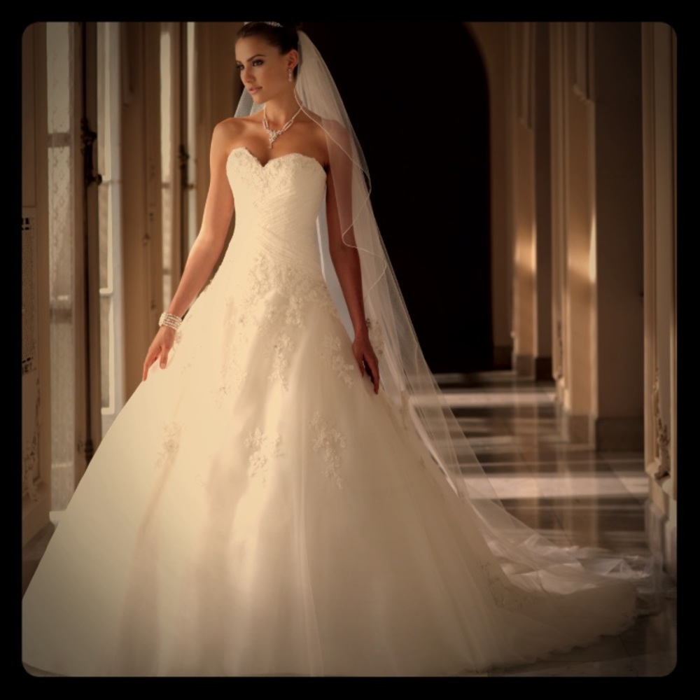 David Tutera wedding dress and veil