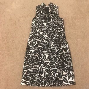 NWT Ann Taylor Dress
