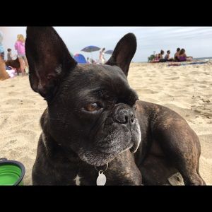 Meet your Posher, Donovan