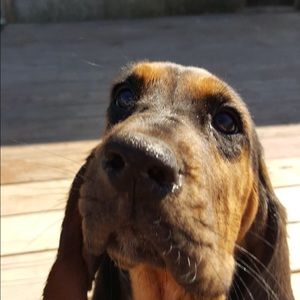 Meet your Posher, Andrew