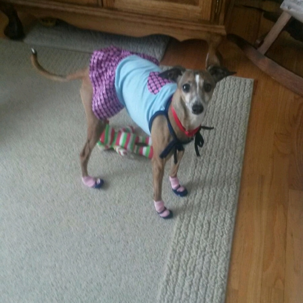 Meet your Posher, Terry