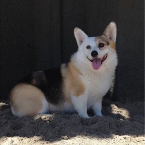 Meet your Posher, Gale