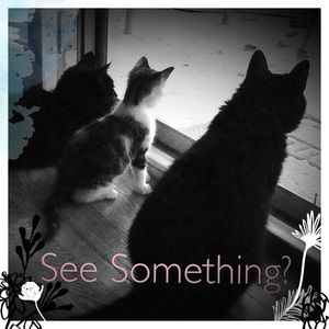 ❤️Interested? Make an offer!❤️