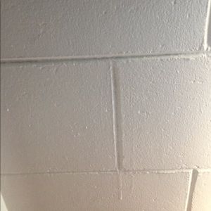 Meet your Posher, Nidge