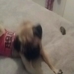 Meet your Posher, Gary