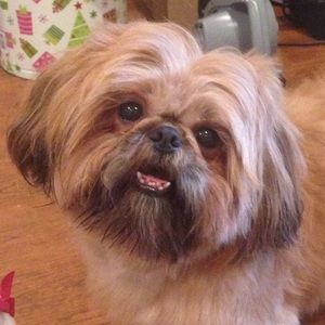 Meet your Posher, Sandy