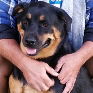 Meet your Posher, Janie