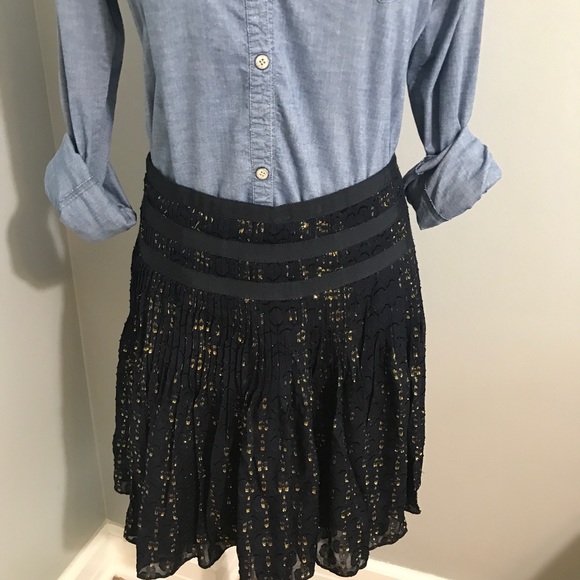 J.Crew Pleated Navy & Gold Skirt - Picture 2 of 8