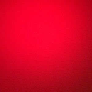 Meet your Posher, Joey