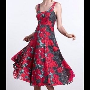 Tracy Reese noisette dress